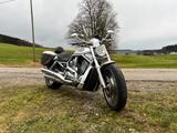 Harley-Davidson V Rod - 2002 V ROD