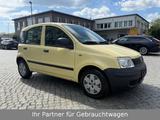 Fiat Panda 1.2 1.Hand Allwetterreifen TÜV NEU Top - Fiat Panda Gebrauchtwagen in Bremen