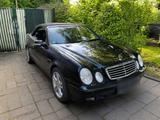 Mercedes-Benz CLK 230 Kompressor Cabrio - gebrauchte Mercedes-Benz CLK 230 aus dem Jahr 2002