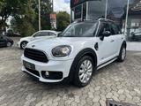 MINI Countryman Cooper Countrym. All4 Pepper Nav/Stan - MINI MINI: Geländewagen