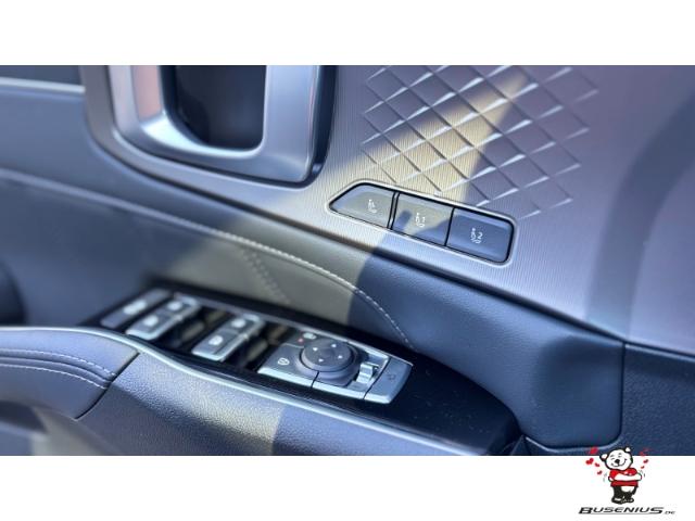 Kia Sorento 2.2 CRDI Platinum 4WD 7-Sitzer +AHK+Napp