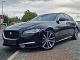 Jaguar XF R-Sport Lagergeräusche