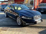 Jaguar XF 3.0 D V6 Premium Luxury-unipro-rate-garanzia- - Jaguar XF: Premium Luxury