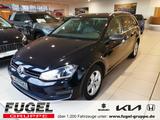 Volkswagen Golf 1.4 TSI Highline AHK schwenbar|Winter|Klima - mit Benzin-Antrieb: Kombi, 1.4