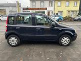 Fiat Panda 1.2 8V MyLive +GARANTIE+ - Fiat Panda: My