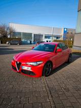 Alfa Romeo Giulia Veloce - Alfa Romeo Giulia von privat