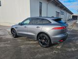 Jaguar F-Pace 25t AWD Chequered Flag Automatik Cheq... - Jaguar F-Pace Chequered-Flag