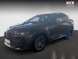 Lexus NX 350h 2.5 Hybrid Business *360°*SITZBEL* - Lexus NX Business