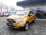 Ford EcoSport Titanium X - Ford EcoSport mit Panoramadach