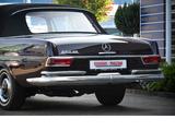 Mercedes-Benz S 250 Werkscabriolet m.Zertifikat - restauriert - Mercedes-Benz S 250 Gebrauchtwagen