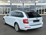 Skoda Octavia 1.4 TSI Joy Green tec Standheizung AHK B - Skoda Octavia: Joy