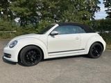 Volkswagen Beetle 1.2 TSI CUP Cabriolet CUP - Volkswagen Beetle: Cup