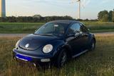 Volkswagen New Beetle 1.4 - Volkswagen Beetle: New