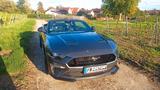 Ford Mustang 5.0 Ti-VCT V8 GT Autom - Ford Mustang mit LPG-Antrieb: Leder