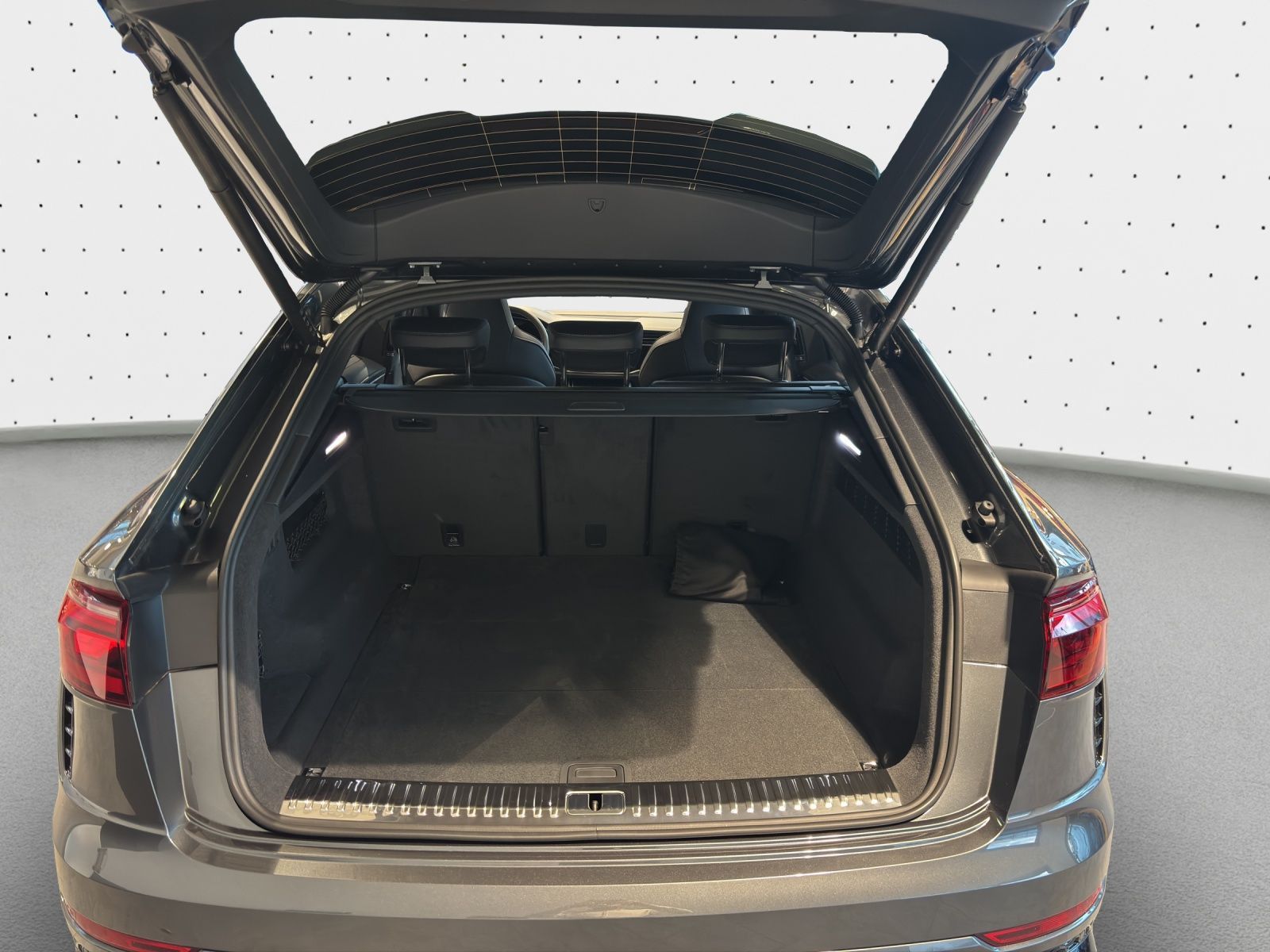 Audi RSQ8 - Bild 11