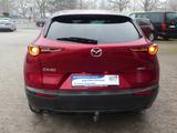 Mazda CX-30*Navi*LED*Fin. ab 149€ - Mazda CX-30 aus 2019