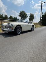 Austin Healey Andere - Austin Healey aus 1966