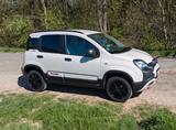Fiat Panda Allrad Sondermodell 4x40°  - Fiat Panda Gebrauchtwagen in Kassel