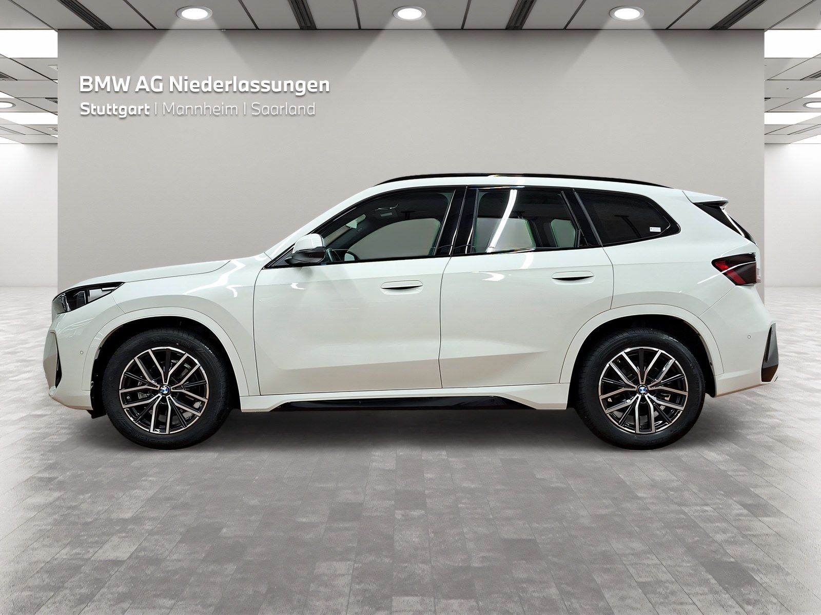 BMW X1 xDrive20d M Sport AHK Driv.Assist Head-Up foto 3