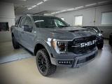 Ford F 150/2.7/Raptor/4x4 - Ford: Gold