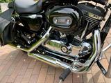 Harley-Davidson Sportster 1200 Custom (XL1200C-FMDACO) 1. Hand - Angebote