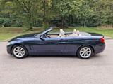 BMW 420i Cabrio - Harman Kardon - Elektr. Anhängerku - BMW 420 in Stuttgart