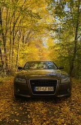 Audi A5 3.0 TDI (DPF Off) S tronic quattro Sportback 