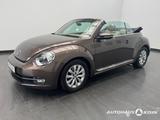 Volkswagen Beetle Cabriolet 1.6TDI 5-Gang Design BMT /Navi  - Volkswagen Beetle: TDI