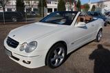 Mercedes-Benz CLK 200 K *AVANTGARDE*LEDER BRAUN*Keyless Go - weiße Mercedes-Benz CLK-Klasse
