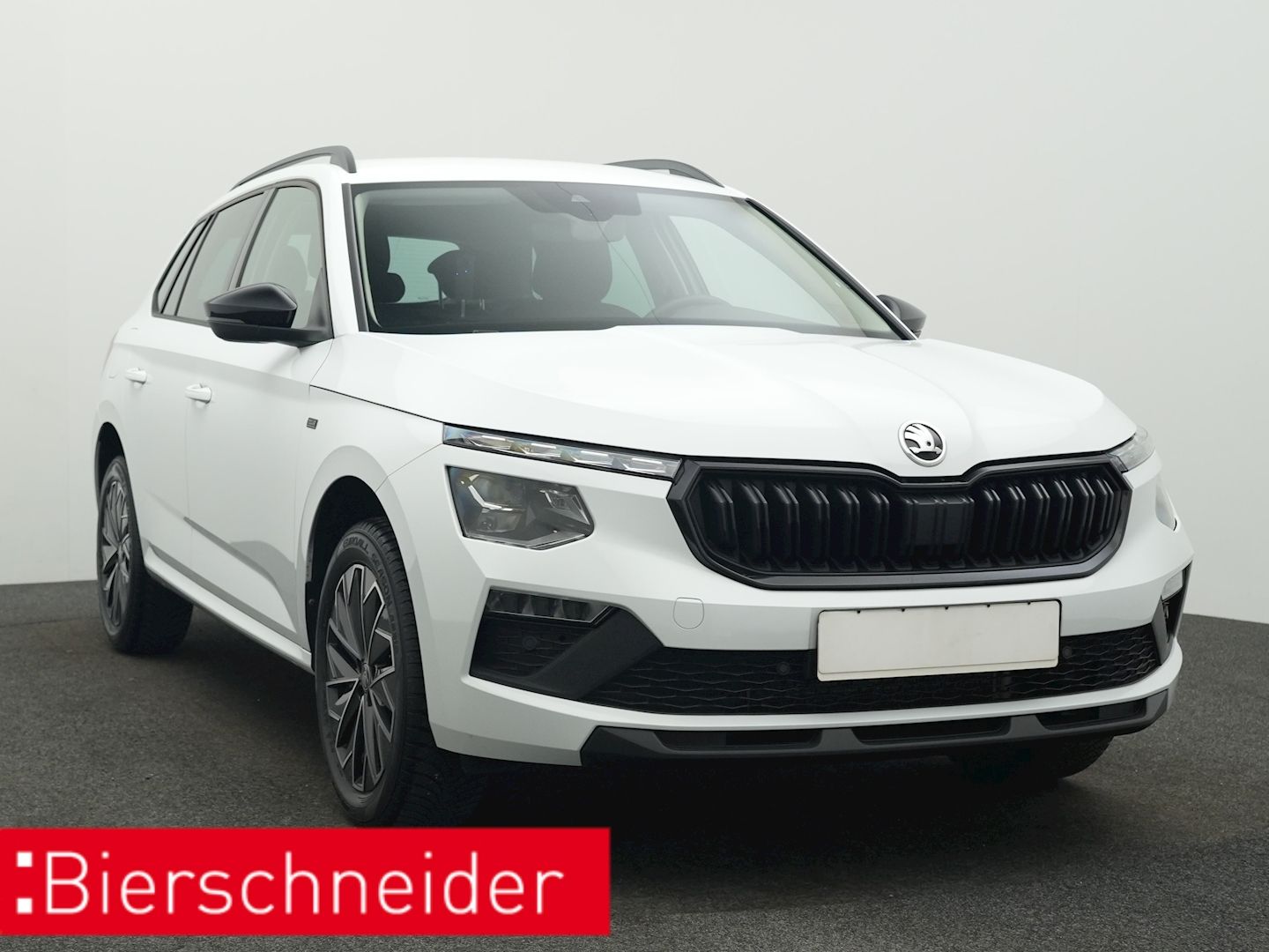 Skoda Kamiq - Bild 9