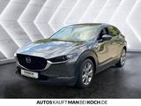 Mazda CX-30 SKYACTIV-G 2.0 M-Hybrid 150 SELECTION Navi - Mazda CX-30 Gebrauchtwagen in Berlin