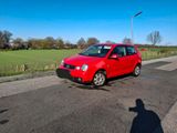Volkswagen VW Polo 9N - Volkswagen Polo aus 2003: 9n