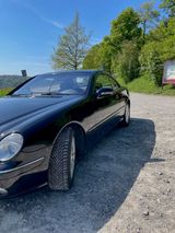Mercedes-Benz CL 600 - C215 - Mercedes-Benz CL 600