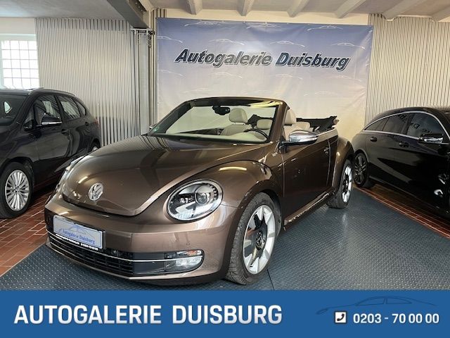 Volkswagen Beetle DSG Kamera Leder Bi-Xenon SHZ Temp PDCv+h