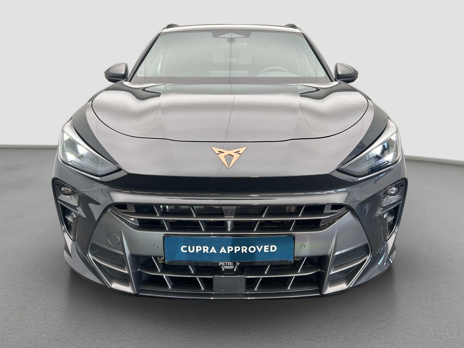 Cupra Terramar - Bild 16