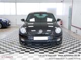 Volkswagen Beetle Cup Design*1Vorb*Servicegepf*PDC V/H*Sitz - Volkswagen Beetle: Cup