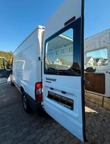 Ford Transit Bulli Sprinter Transporter Ka... - Ford: Transporter