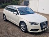 Audi A3 8V 1.6 TDI Sportback  - Audi A3: V6
