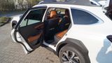 Subaru Outback 2.5i Platinum, NAVI, Leder - Subaru in Hamburg