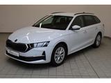 Skoda Octavia Combi 1.5 TSI e-TEC Selection DSG AHK - Skoda Octavia Gebrauchtwagen in Rostock