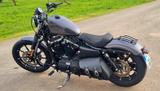 Harley-Davidson Sportster XL 883 Iron N