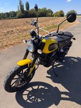 Ducati Scrambler 803 ccm - DUCATI SCRAMBLER