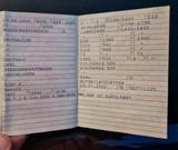 Opel Abbas Kazemi - Opel Vectra in Stuttgart