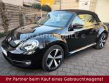 Volkswagen Beetle 2.0 TDI Allstar BlueMotion 1.Hd Vollauss.