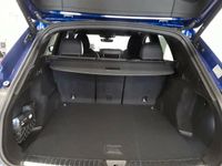 Audi SQ5 - Vorschau Bild 7