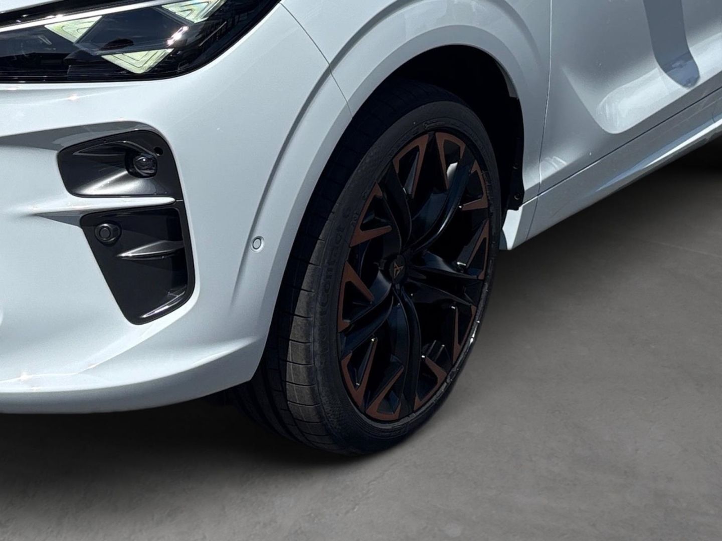 Cupra Terramar - Bild 8