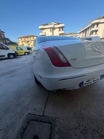 Jaguar XJ - 8
