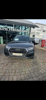 Audi Q5 50 TDI tiptronic quattro design design - Audi Q5 design mit Diesel-Antrieb