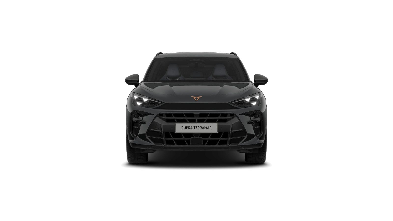 Cupra Terramar - Bild 2