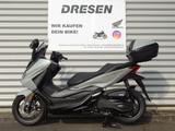 Honda NSS 350 Forza ABS * 2025 * 6 Jahre Garantie * - Angebote